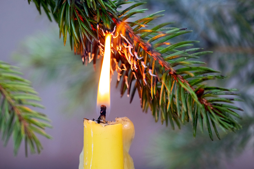 kaart bij een dennenboom wat zorgt voor een niet brandveilige situatie
